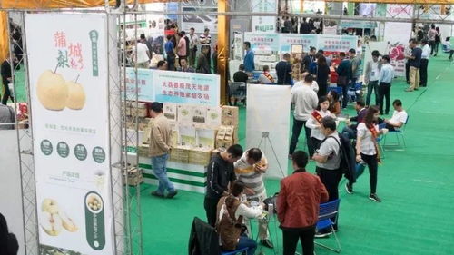 這一年，我們不一樣——禮儀服務的變革與堅守